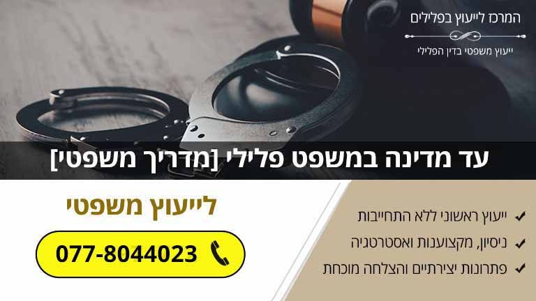 עד מדינה במשפט פלילי [מדריך משפטי]