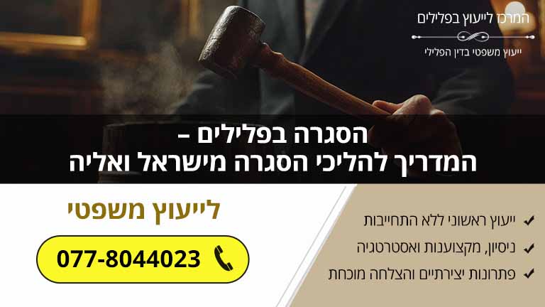 הסגרה בפלילים – המדריך להליכי הסגרה מישראל ואליה